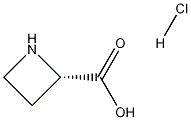 (s)-Azetidine-2-carboxylic acid HCl CAS#: 405226-56-4