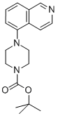 tert-butyl 4-(isoquinolin-5-yl)piperazine-1-carboxylate CAS#: 444620-69-3