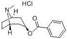 tropacocaine hydrochloride CAS#: 637-23-0
