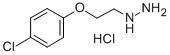 1-(2-(4-chlorophenoxy)ethyl)hydrazine CAS#: 69782-24-7
