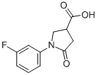1-(3-FLUOROPHENYL)-5-OXOPYRROLIDINE-3-CARBOXYLIC ACID CAS#: 566154-63-0