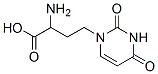1-(3'-amino-3'-carboxypropyl)uracil CAS#: 69557-82-0