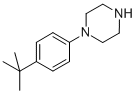 1-(4-TERT-BUTYLPHENYL)PIPERAZINE CAS#: 68104-61-0