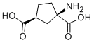 (+/-)-1-AMINOCYCLOPENTANE-TRANS-1,3-DICARBOXYLIC ACID CAS#: 67684-64-4