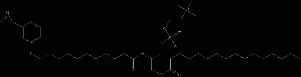 1-palmitoyl-2-(11-(3-diazirinophenoxy)undecanoyl)-sn-glycero-3-phosphocholine CAS#: 65114-56-9