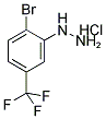 2-BROMO-5-(TRIFLUOROMETHYL)PHENYLHYDRAZINE HYDROCHLORIDE CAS#: 529512-78-5