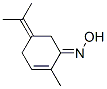 2-Cyclohexen-1-one,2-methyl-5-(1-methylethylidene)-,oxime(9CI) CAS#: 63843-07-2