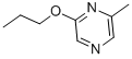 2-METHYL-6-PROPOXYPYRAZINE CAS#: 67845-28-7