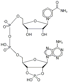 2',3'-cyclic NADP CAS#: 62640-02-2