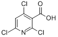 2,4,6-TRICHLORONICOTINIC ACID CAS#: 69422-72-6