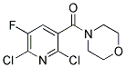 (2,6-DICHLORO-5-FLUOROPYRIDIN-3-YL)(MORPHOLINO)METHANONE CAS#: 680217-88-3
