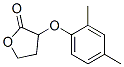 3-(2,4-dimethylphenoxy)oxolan-2-one CAS#: 6307-24-0