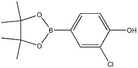 3-Chloro-4-hydroxyphenylboronic acid, pinacol ester CAS#: 629658-06-6