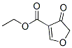 3-Furoicacid,4,5-dihydro-4-oxo-,ethylester(7CI) CAS#: 622864-47-5