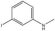 3-Iodo-N-Methyl-benzenaMine CAS#: 61829-42-3