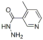 3-Pyridinecarboxylicacid,4-methyl-,hydrazide(9CI) CAS#: 6316-67-2