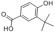 3-TERT-BUTYL-4-HYDROXYBENZOIC ACID CAS#: 66737-88-0