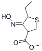 3-Thiophenecarboxylicacid,5-ethyltetrahydro-4-(hydroxyimino)-,methylester(9CI) CAS#: 66319-19-5