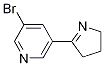 3-broMo-5-(3,4-dihydro-2H-pyrrol-5-yl)pyridine CAS#: 64319-85-3