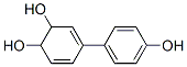 3,5-Cyclohexadiene-1,2-diol, 4-(4-hydroxyphenyl)- (9CI) CAS#: 69432-59-3