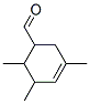 3,5,6-trimethylcyclohex-3-ene-1-carbaldehyde CAS#: 67634-07-5