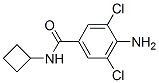 4-Amino-N-cyclobutyl-3,5-dichlorobenzamide CAS#: 63887-22-9