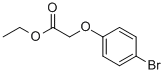 (4-BROMOPHENOXY)ACETIC ACID ETHYL ESTER CAS#: 6964-29-0