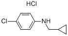 (4-CHLORO-PHENYL)-CYCLOPROPYLMETHYL-AMINE HYDROCHLORIDE CAS#: 69565-54-4