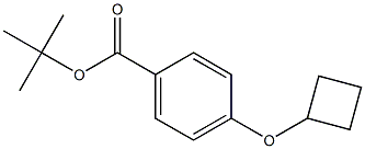 4-Cyclobutoxy-benzoic acid tert-butyl ester CAS#: 62577-95-1