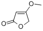 4-METHOXY-2(5H)-FURANONE CAS#: 69556-70-3