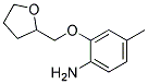4-METHYL-2-(TETRAHYDRO-2-FURANYLMETHOXY)ANILINE CAS#: 640767-91-5