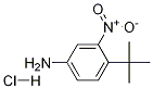 4-tert-Butyl-3-nitro-phenylaMine hydrochloride CAS#: 6310-20-9