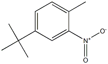 4-tert-butyl-1-methyl-2-nitrobenzene CAS#: 62559-08-4