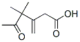 4,4-Dimethyl-3-methylene-5-oxohexanoic acid CAS#: 6994-96-3
