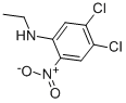 4,5-dichloro-N-ethyl-2-nitroaniline CAS#: 63059-56-3