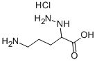 5-AMINO-2-HYDRAZINOPENTANOIC ACID HYDROCHLORIDE CAS#: 60733-16-6
