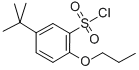 5-TERT-BUTYL-2-PROPOXY-BENZENESULFONYL CHLORIDE CAS#: 681260-21-9