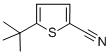 5-TERT-BUTYL-THIOPHENE-2-CARBONITRILE CAS#: 612504-43-5