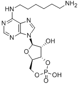 6-AH-CAMP CAS#: 66311-09-9