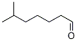 6-Methylheptanal CAS#: 63885-09-6