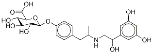 Fenoterol O-β-D-Glucuronide CAS#: 61046-78-4
