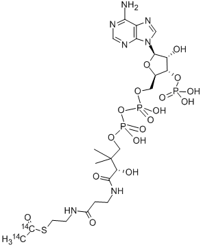 ACETYL COENZYME A, [ACETYL-1,2-14C] CAS#: 69321-00-2