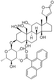 ANTHROYLOUABAIN CAS#: 62026-02-2