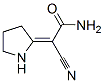 Acetamide, 2-cyano-2-(2-pyrrolidinylidene)- CAS#: 66751-23-3