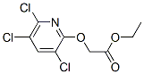 Acetic acid, (3,5,6-trichloro-2-pyridinyl)oxy-, ethyl ester CAS#: 60825-27-6