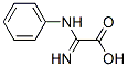 Acetic acid, imino(phenylamino)- (9CI) CAS#: 69433-23-4