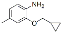 Benzenamine, 2-(cyclopropylmethoxy)-4-methyl- (9CI) CAS#: 640767-87-9