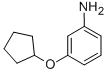 Benzenamine, 3-(cyclopentyloxy)- (9CI) CAS#: 653604-38-7