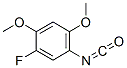 Benzene, 1-fluoro-5-isocyanato-2,4-dimethoxy- (9CI) CAS#: 625119-43-9
