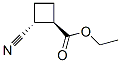 Cyclobutanecarboxylic acid, 2-cyano-, ethyl ester, trans- (9CI) CAS#: 64652-33-1